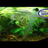 Сифон для грунту Aqua Nova GC-10 25см (GC-10)