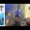Насадка йоржик Eheim rapidCleaner - Algae brush (3591001)